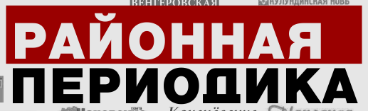 В Электронной библиотеки НГОНБ, создана коллекция "Районных газет Новосибирской области", в ней размещены все ваши оцифрованные газеты, с вашими логотипами и ссылками на Ваши ресурсы. Ваши ресурсы стали доступны большому количеству пользователей по всему миру.